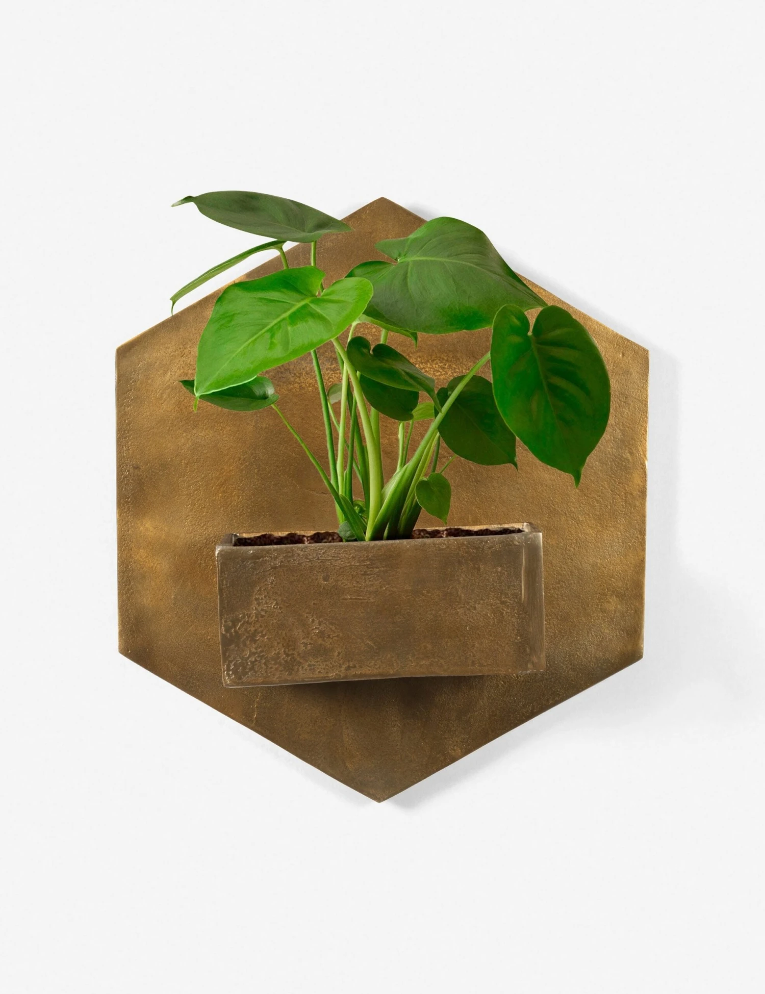 Larayne Hexagon Wall Planter 3 Larayne Hexagon Wall Planter