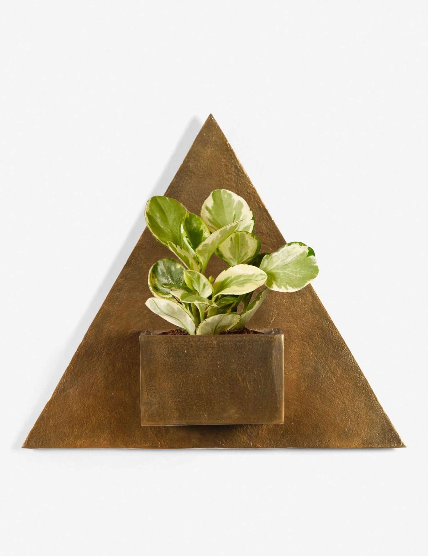 Larayne Triangle Wall Planter 3 Larayne Triangle Wall Planter