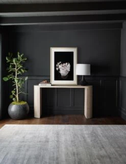 Nambi: Pose II, WOVEN Series Photography Print By Ashley Johnson 15 Nambi: Pose II, WOVEN Series Photography Print By Ashley Johnson -KINKIN Decor Shop 20210526 ConsoleArtVignette 7204 NOART