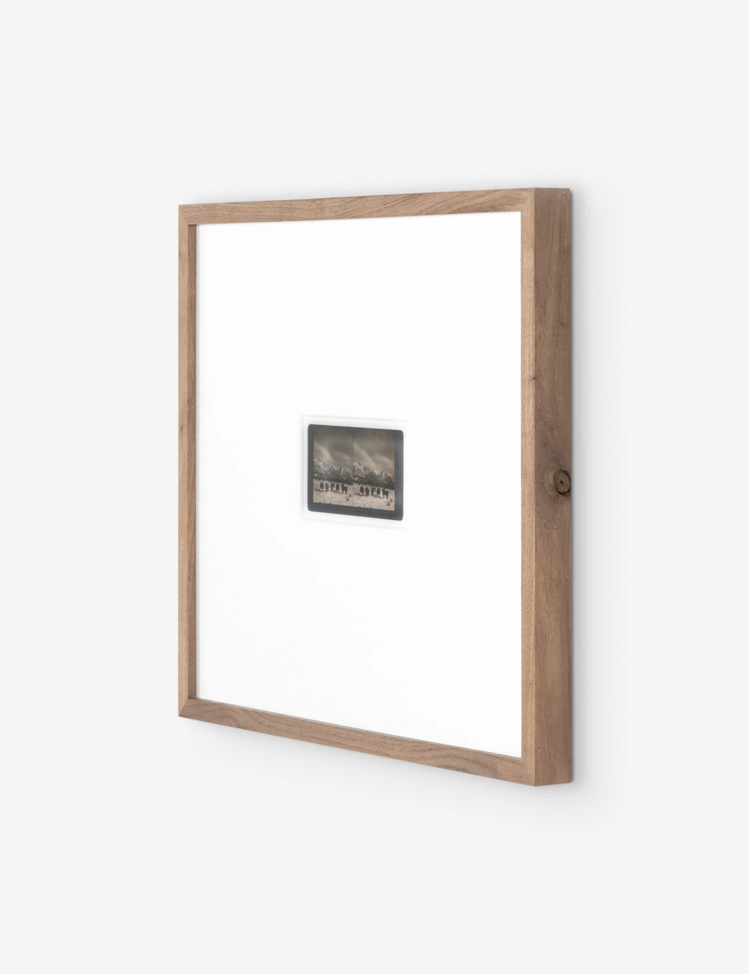 Monarch Of The Plain Photography Print By Gold Rush Art Co 4 Monarch Of The Plain Photography Print By Gold Rush Art Co - Image 2