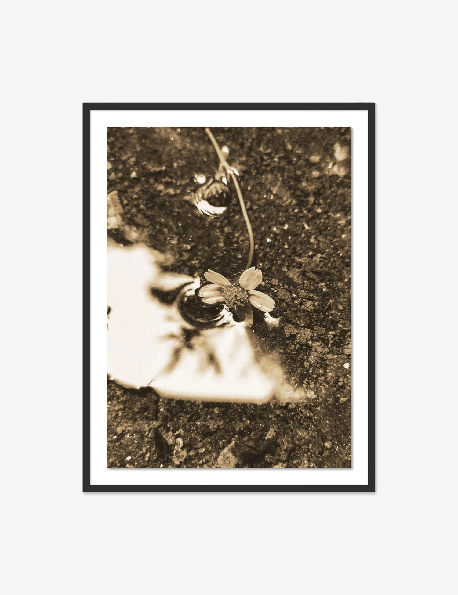 KINKIN Decor Shop -KINKIN Decor Shop 245676 001 PRM 1 Product scaled