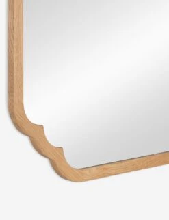 Dandridge Mirror -KINKIN Decor Shop 41915 5