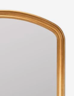 Oralie Full Length Mirror -KINKIN Decor Shop 42200 5