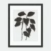 Sprig VIII Wall Art By Fern Cassidy -KINKIN Decor Shop 52GCFC1288 OG LUL