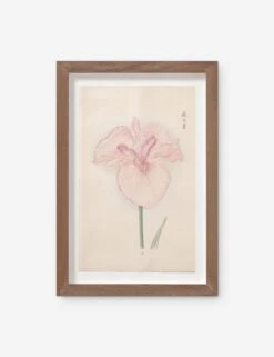 Vintage Japanese Iris No. 16 Wall Art By Miyoshi Manabu