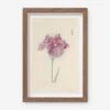 Vintage Japanese Iris No. 24 Wall Art By Miyoshi Manabu 2 Vintage Japanese Iris No. 24 Wall Art By Miyoshi Manabu -KINKIN Decor Shop AFLWR 24 7.5X12.25