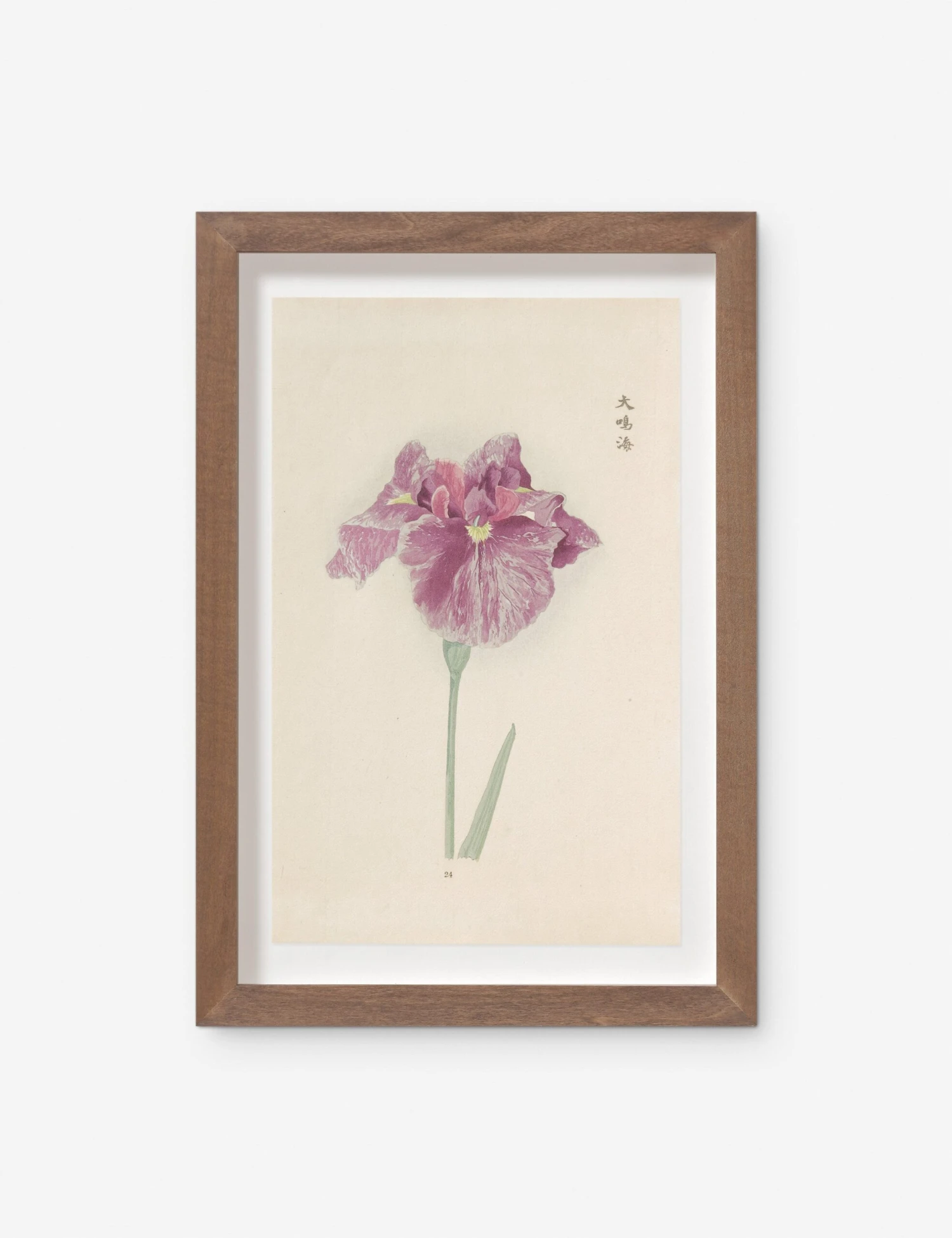 Vintage Japanese Iris No. 24 Wall Art By Miyoshi Manabu 3 Vintage Japanese Iris No. 24 Wall Art By Miyoshi Manabu