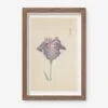 Vintage Japanese Iris No. 29 Wall Art By Miyoshi Manabu -KINKIN Decor Shop AFLWR 29 7.5X12.25