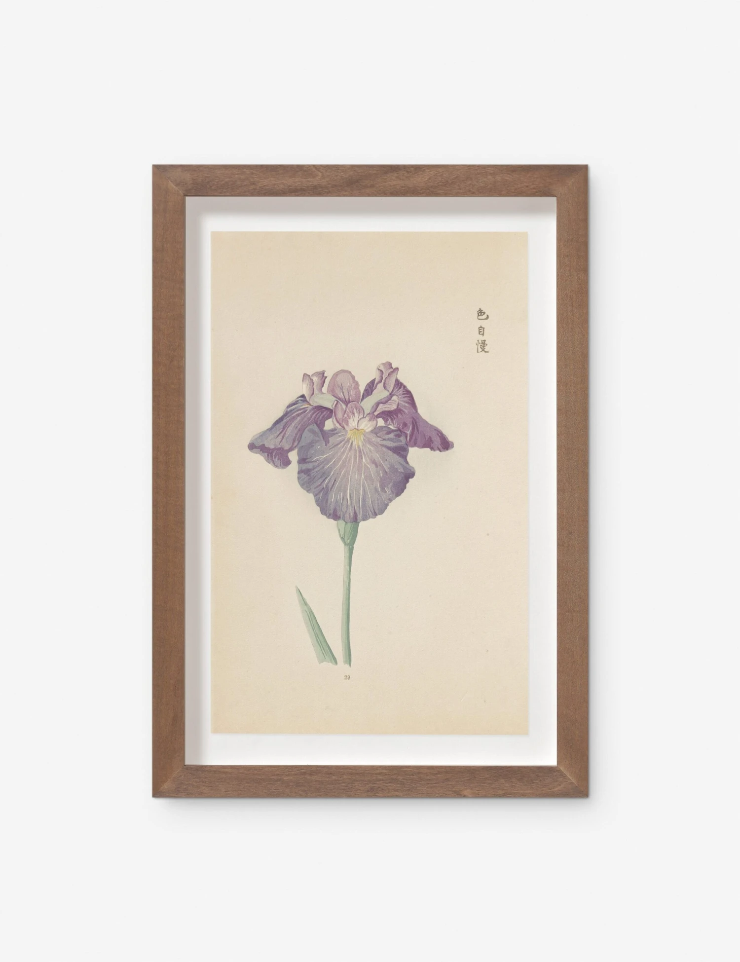Vintage Japanese Iris No. 29 Wall Art By Miyoshi Manabu 3 Vintage Japanese Iris No. 29 Wall Art By Miyoshi Manabu