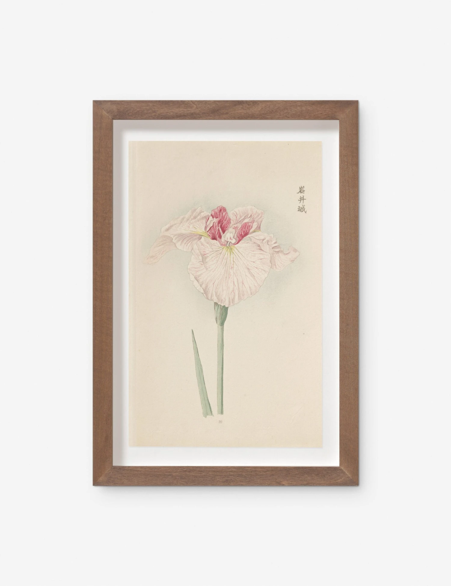 Vintage Japanese Iris No. 32 Wall Art By Miyoshi Manabu 3 Vintage Japanese Iris No. 32 Wall Art By Miyoshi Manabu
