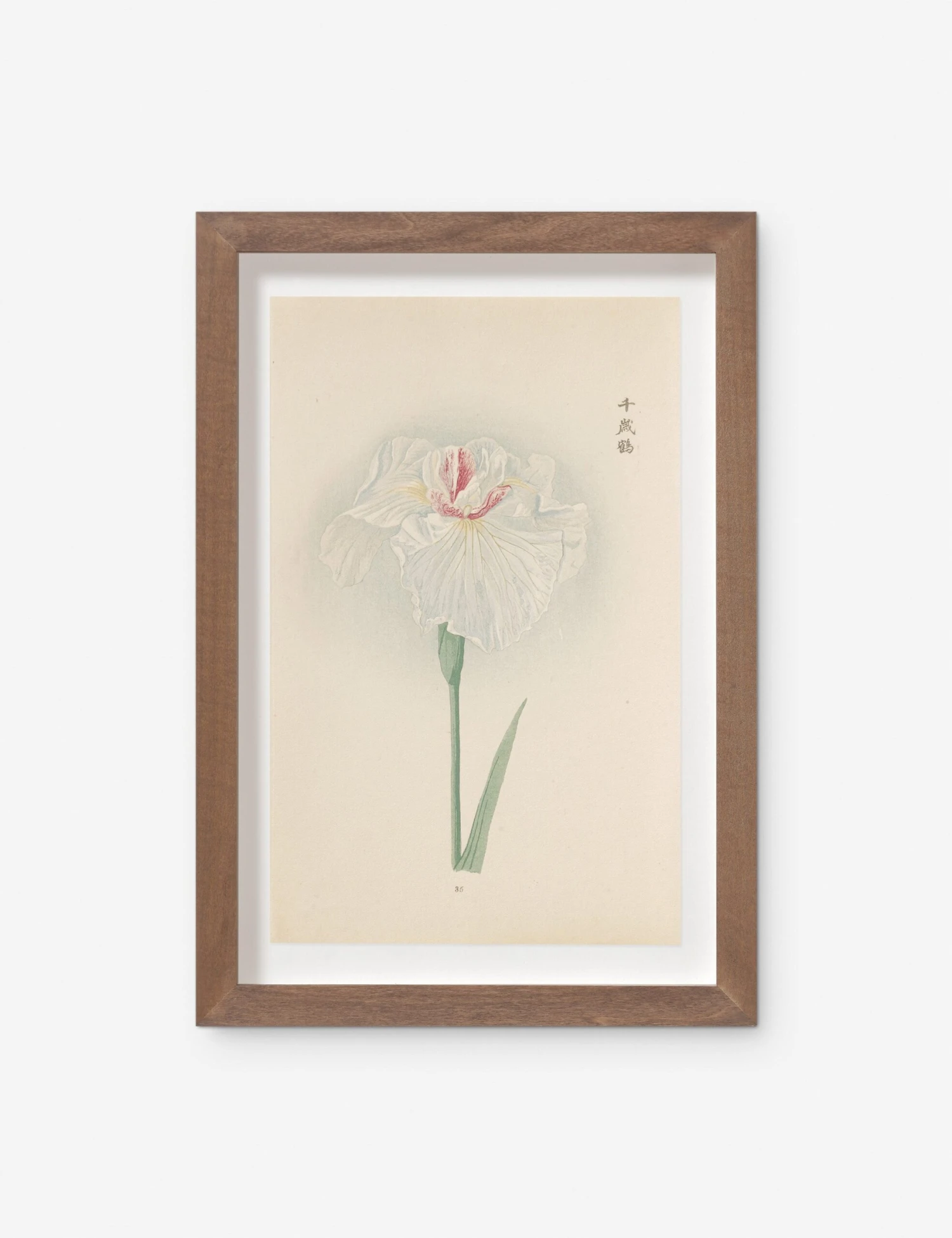 Vintage Japanese Iris No. 35 Wall Art By Miyoshi Manabu 3 Vintage Japanese Iris No. 35 Wall Art By Miyoshi Manabu