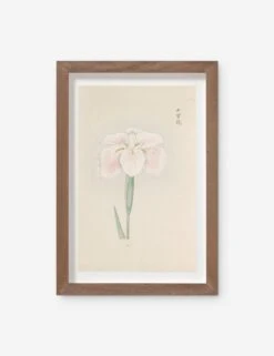 Vintage Japanese Iris No. 48 Wall Art By Miyoshi Manabu
