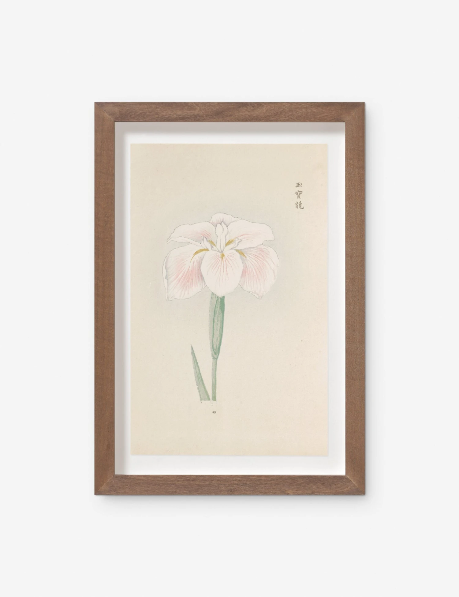 Vintage Japanese Iris No. 48 Wall Art By Miyoshi Manabu 3 Vintage Japanese Iris No. 48 Wall Art By Miyoshi Manabu