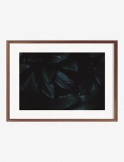 Still Life 3 Photography Print By Ashley Johnson 12 Still Life 3 Photography Print By Ashley Johnson -KINKIN Decor Shop AshleyJohnsonStillLIfePack7 3walnutframe