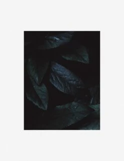 Still Life 3 Photography Print By Ashley Johnson 14 Still Life 3 Photography Print By Ashley Johnson -KINKIN Decor Shop AshleyJohnsonStillLifePack7 3unframed