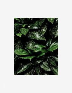 Still Life 7 Photography Print By Ashley Johnson -KINKIN Decor Shop AshleyJohnsonStillLifePack7 7unframed