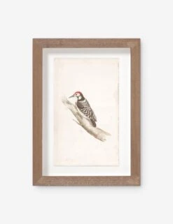 Vintage Bird Watercolor No. 00 Wall Art By Visual Contrast