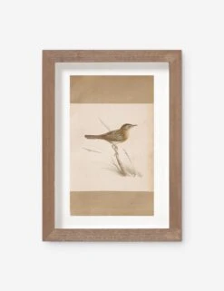 Vintage Bird Watercolor No. 61 Wall Art By Visual Contrast