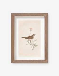 Vintage Bird Watercolor No. 66 Wall Art By Visual Contrast