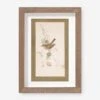 Vintage Bird Watercolor No. 74 Wall Art By Visual Contrast 1 Vintage Bird Watercolor No. 74 Wall Art By Visual Contrast -KINKIN Decor Shop BIRDWC 74 5x8 be9055f1 3cc7 4b93 b299 44948bf211c2