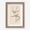 Vintage Bird Watercolor No. 82 Wall Art By Visual Contrast -KINKIN Decor Shop BIRDWC 82 5x8 505f7982 b52e 4a70 b0c6 16fcc17ad18e