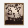 Branche De Pommier Print By Eugène Atget -KINKIN Decor Shop BranchedePommierBronzeFrame