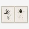 Noir I & II Print By Yuki Osada (Set Of 2) -KINKIN Decor Shop CAC 22 0027 Set