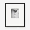 Woman With Chiffon Photography Print By Erwin Blumenfeld -KINKIN Decor Shop CN BKT 19 0055J