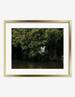 Lake Nicaragua Photography Print By Carley Rudd -KINKIN Decor Shop CarleyRuddLakeNicaraguaGoldFrame