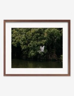 Lake Nicaragua Photography Print By Carley Rudd -KINKIN Decor Shop CarleyRuddLakeNicaraguaWalnutFrame