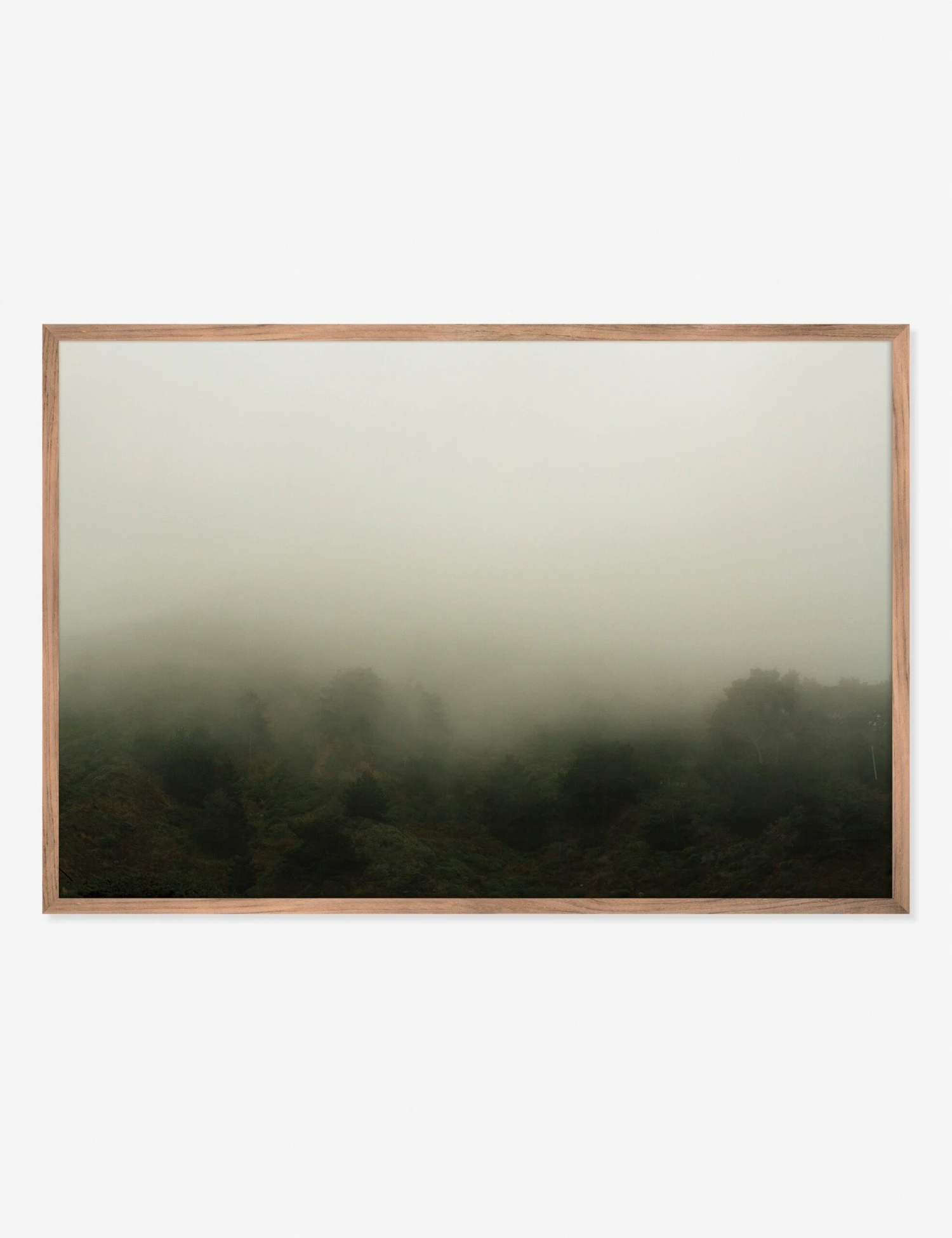 Norcal 10 Photography Print By Flavia Cureteu 3 Norcal 10 Photography Print By Flavia Cureteu