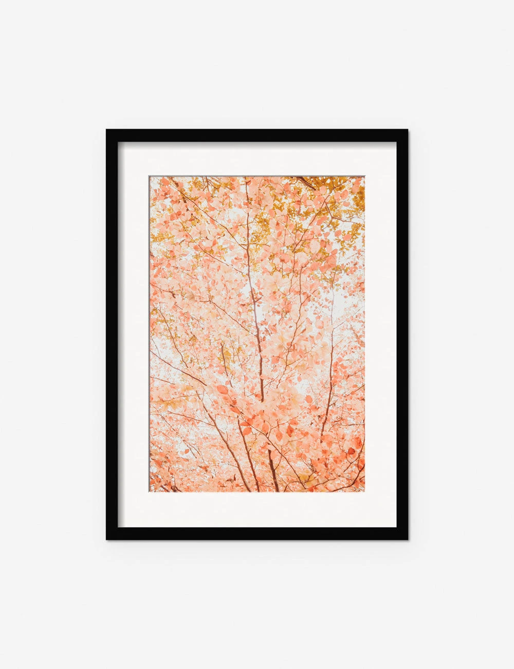 Pastel Fall Tree Photography Print By Ingrid Beddoes 4 Pastel Fall Tree Photography Print By Ingrid Beddoes - Image 2