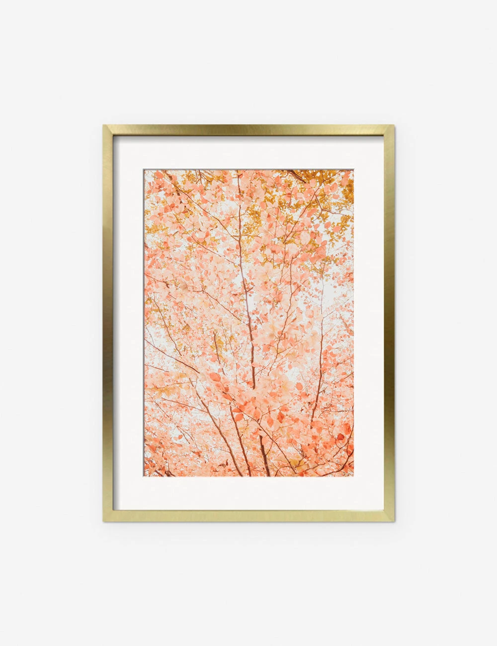 Pastel Fall Tree Photography Print By Ingrid Beddoes 5 Pastel Fall Tree Photography Print By Ingrid Beddoes - Image 3