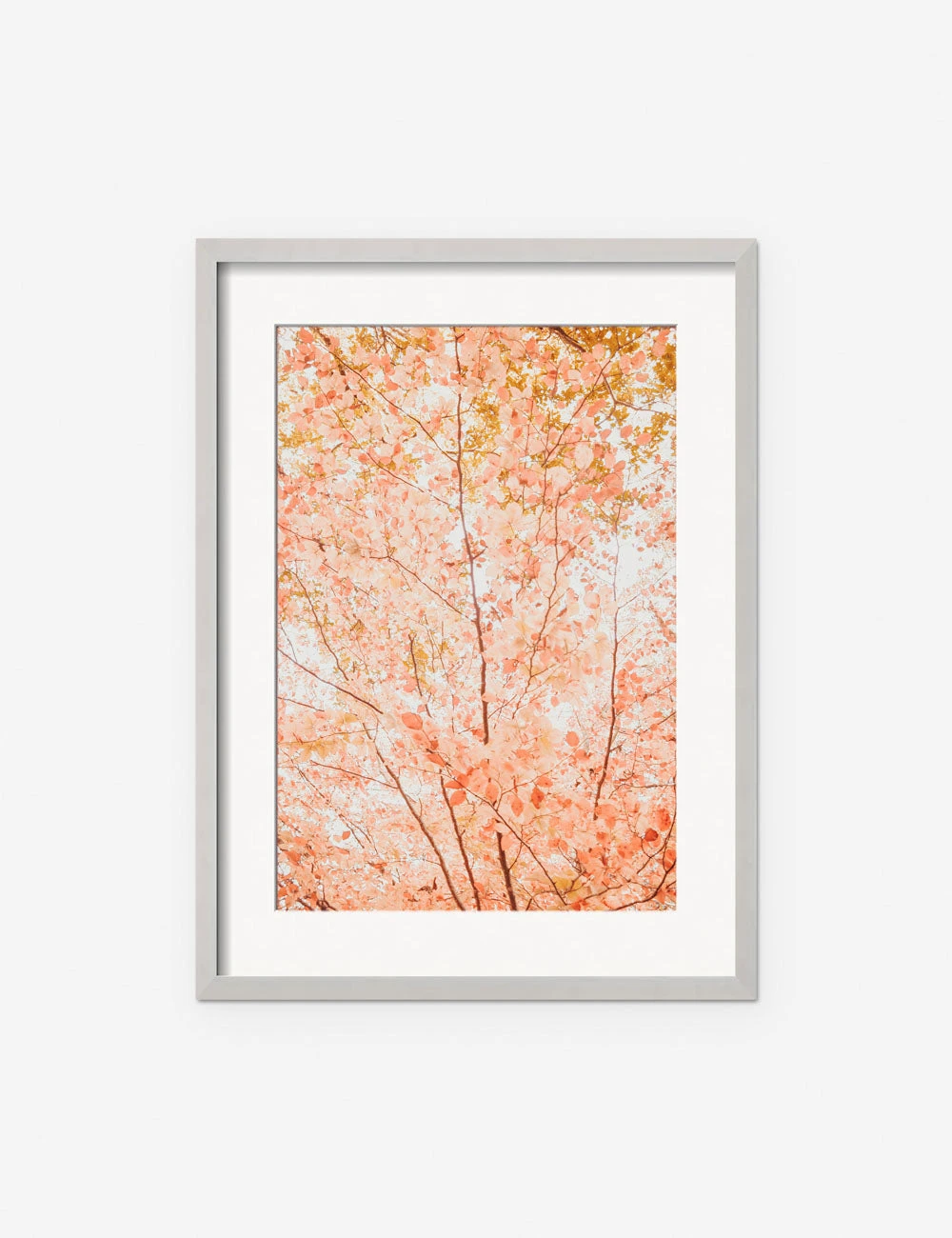 Pastel Fall Tree Photography Print By Ingrid Beddoes 6 Pastel Fall Tree Photography Print By Ingrid Beddoes - Image 4