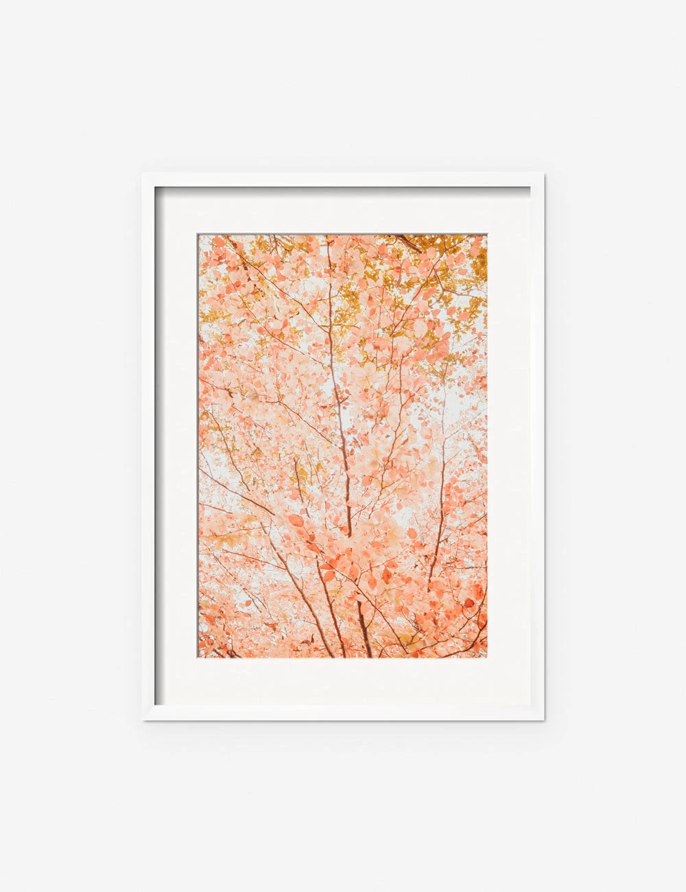 Pastel Fall Tree Photography Print By Ingrid Beddoes 8 Pastel Fall Tree Photography Print By Ingrid Beddoes - Image 6