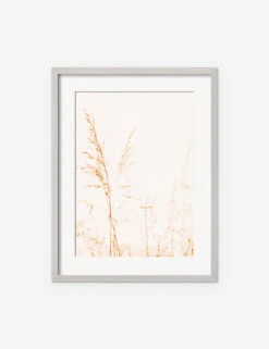 Wild Grass Photography Print By Ingrid Beddoes 12 Wild Grass Photography Print By Ingrid Beddoes -KINKIN Decor Shop IngridWildGrassSilverFrame