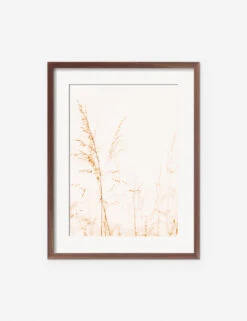 Wild Grass Photography Print By Ingrid Beddoes 13 Wild Grass Photography Print By Ingrid Beddoes -KINKIN Decor Shop IngridWildGrassWalnutFrame