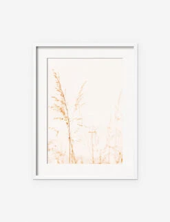 Wild Grass Photography Print By Ingrid Beddoes 14 Wild Grass Photography Print By Ingrid Beddoes -KINKIN Decor Shop IngridWildGrassWhiteFrame