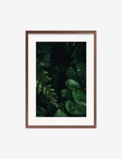 Still Life 14 Photography Print By Ashley Johnson -KINKIN Decor Shop JohnsonStillLIfepack7 14Walnutframe