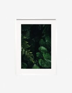 Still Life 14 Photography Print By Ashley Johnson -KINKIN Decor Shop JohnsonStillLIfepack7 14Whiteframe