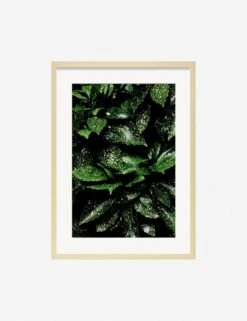 Still Life 7 Photography Print By Ashley Johnson -KINKIN Decor Shop JohnsonStillLifePack7 7naturalframe