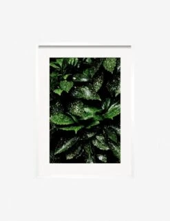 Still Life 7 Photography Print By Ashley Johnson -KINKIN Decor Shop JohnsonStillLifePack7 7whiteframe