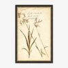 Herbarium E Wall Art 1 Herbarium E Wall Art -KINKIN Decor Shop LULU 23 0066E