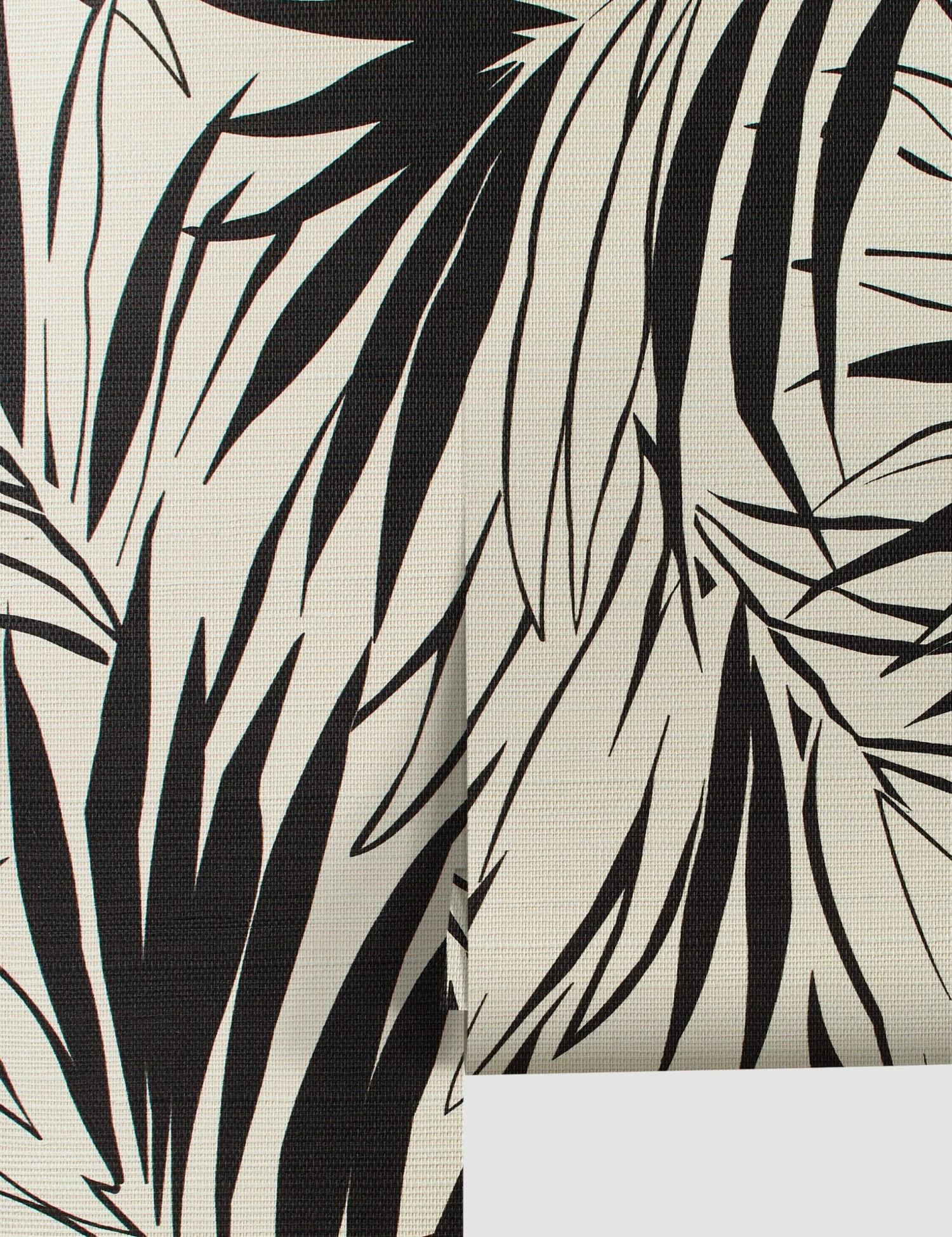 Majesty Palm Wallpaper 3 Majesty Palm Wallpaper