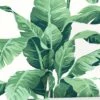 Pacifico Palm Peel + Stick Wallpaper By Nathan Turner -KINKIN Decor Shop Pacifico Palm GreenIvory B fcc8172e fdf1 4d73 b5e0 1bcb3c17d55d
