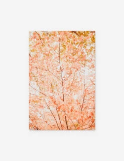 Pastel Fall Tree Photography Print By Ingrid Beddoes 15 Pastel Fall Tree Photography Print By Ingrid Beddoes -KINKIN Decor Shop PastelFallTree