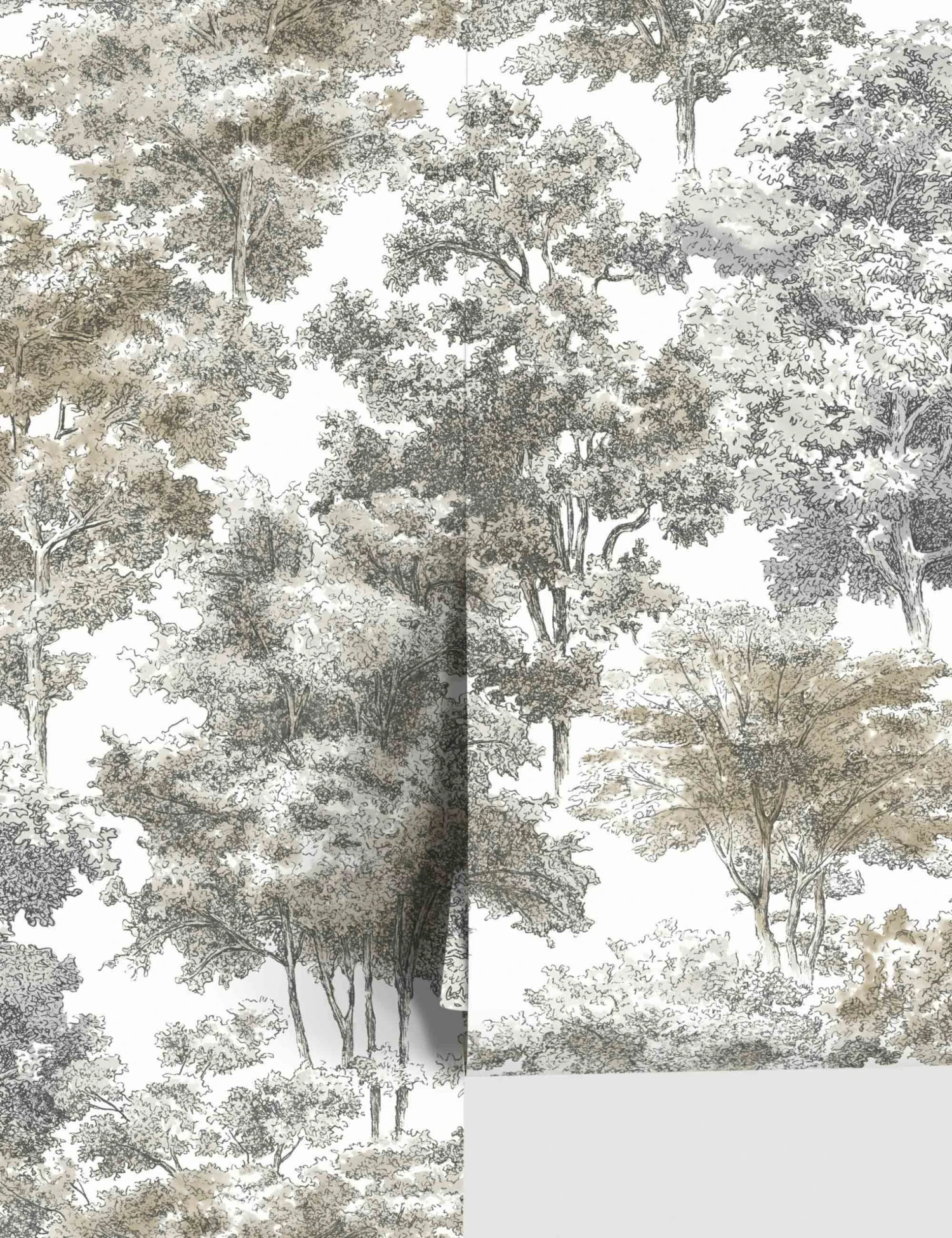 Old World Trees Peel + Stick Wallpaper 3 Old World Trees Peel + Stick Wallpaper