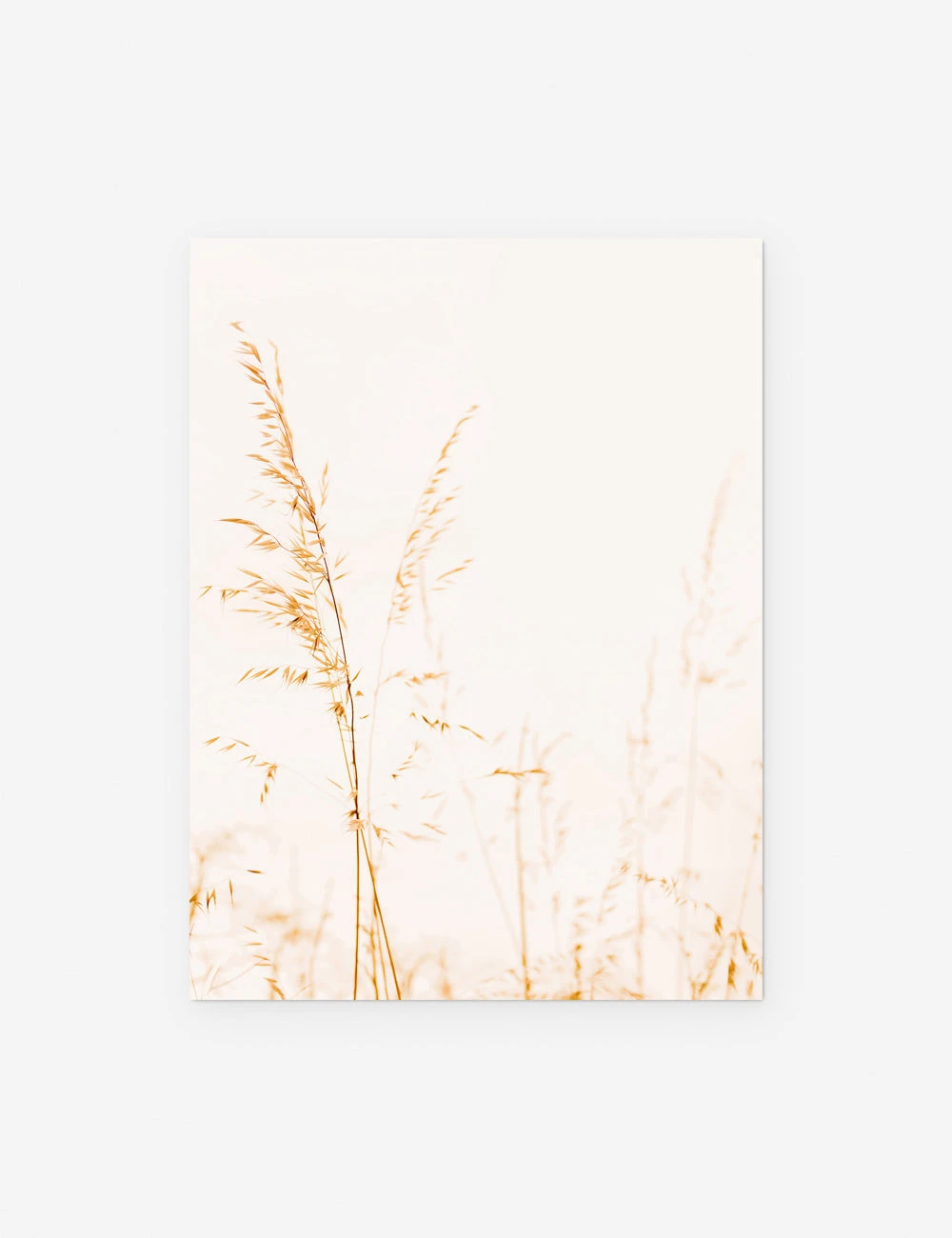 Wild Grass Photography Print By Ingrid Beddoes 9 Wild Grass Photography Print By Ingrid Beddoes - Image 7